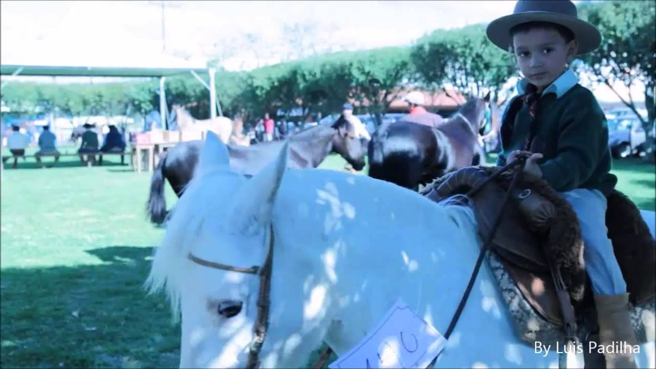 Saudade da minha terra Gildo de Freitas HD