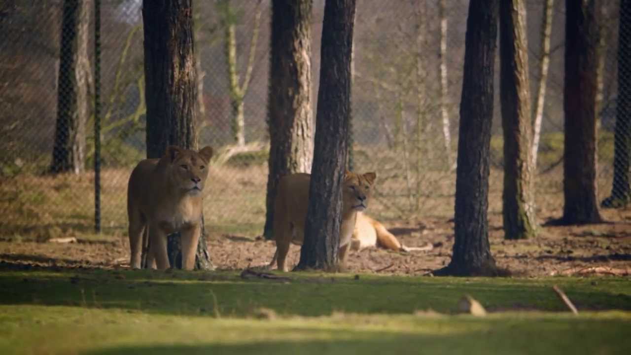 Jumbo | Dagje Uit