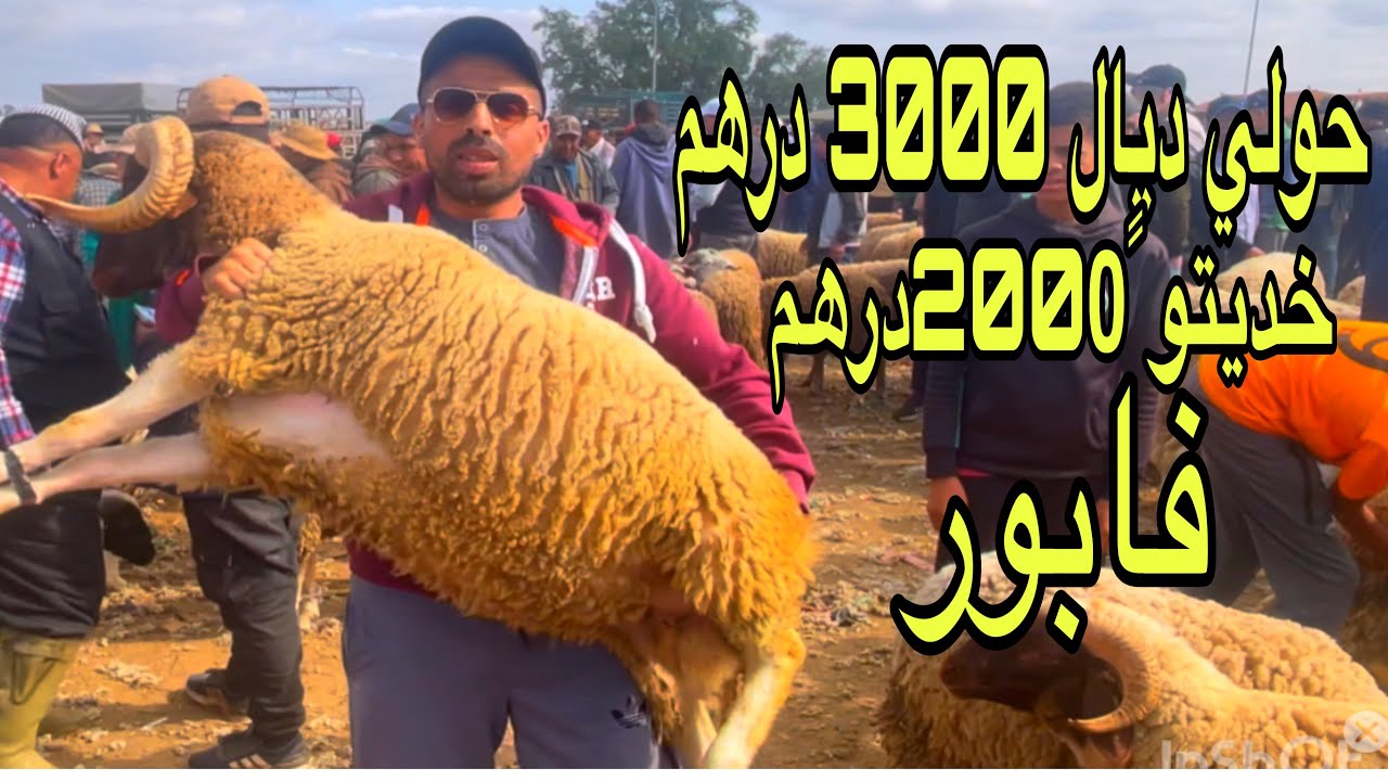 مباشرة اليوم 2025/05/18 من سوق الحد شريت حولي ديال 6500درهم الحمدلله ب2000درهم فابور ‼️