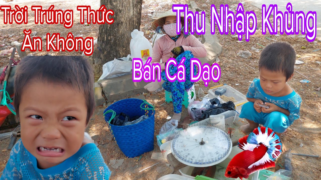 Thu Nhập Bất Ngờ Từ Bà Bán Cá Dạo Vòng Quay May Mắn Trúng Cá Betta