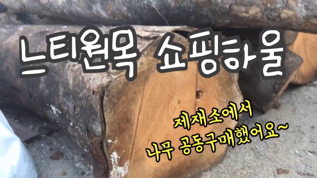 [TBtv]제재소에 가다. 목공 핵인싸템 구경. 느티나무 원목쇼핑.