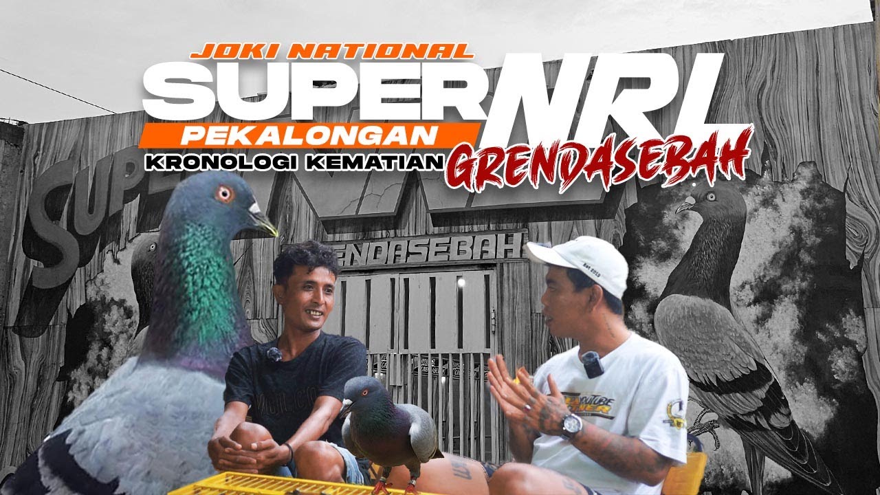 🔴KRONOLOGI KEMATIAN MERPATI 2 M❗ GRENDASEBAH | JOKI NASIONAL SUPER NRL PEKALONGAN #merpatikolong