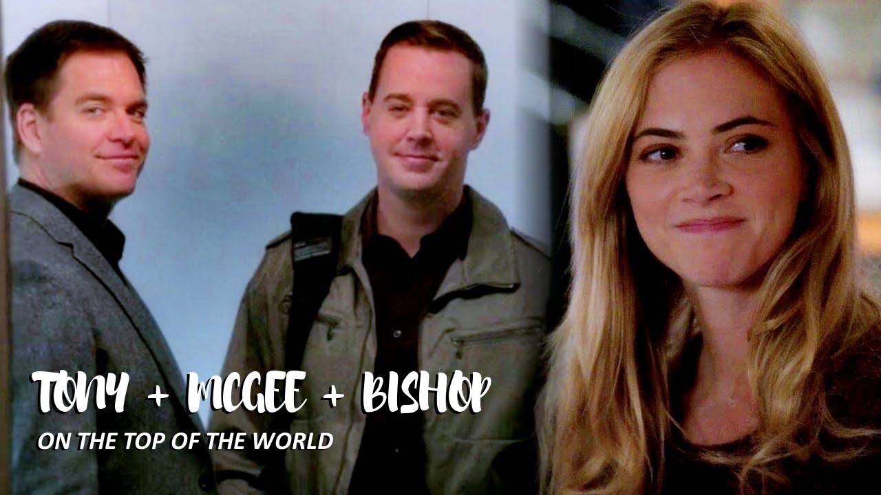 tony + mcgee + bishop | on the top of the world [ncis]