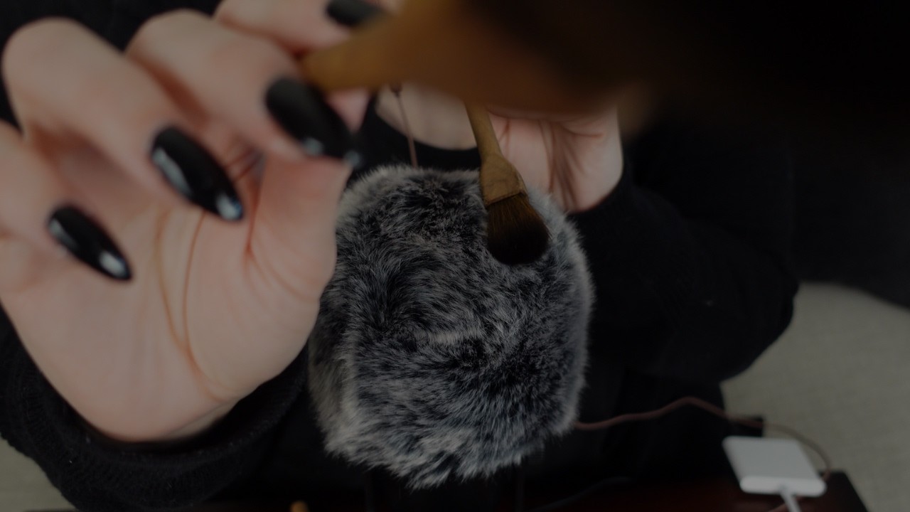 ASMR | Fluffy Mic and Face Brushing | No Talking
