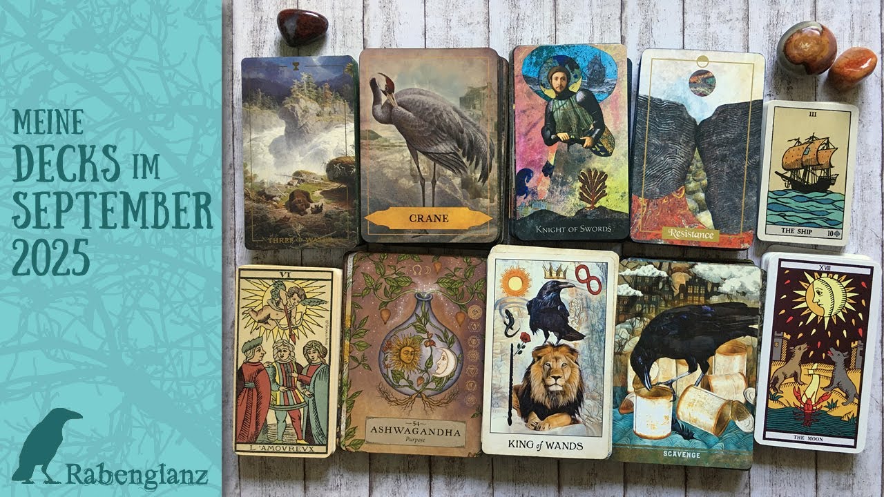 Meine Decks im September 2025