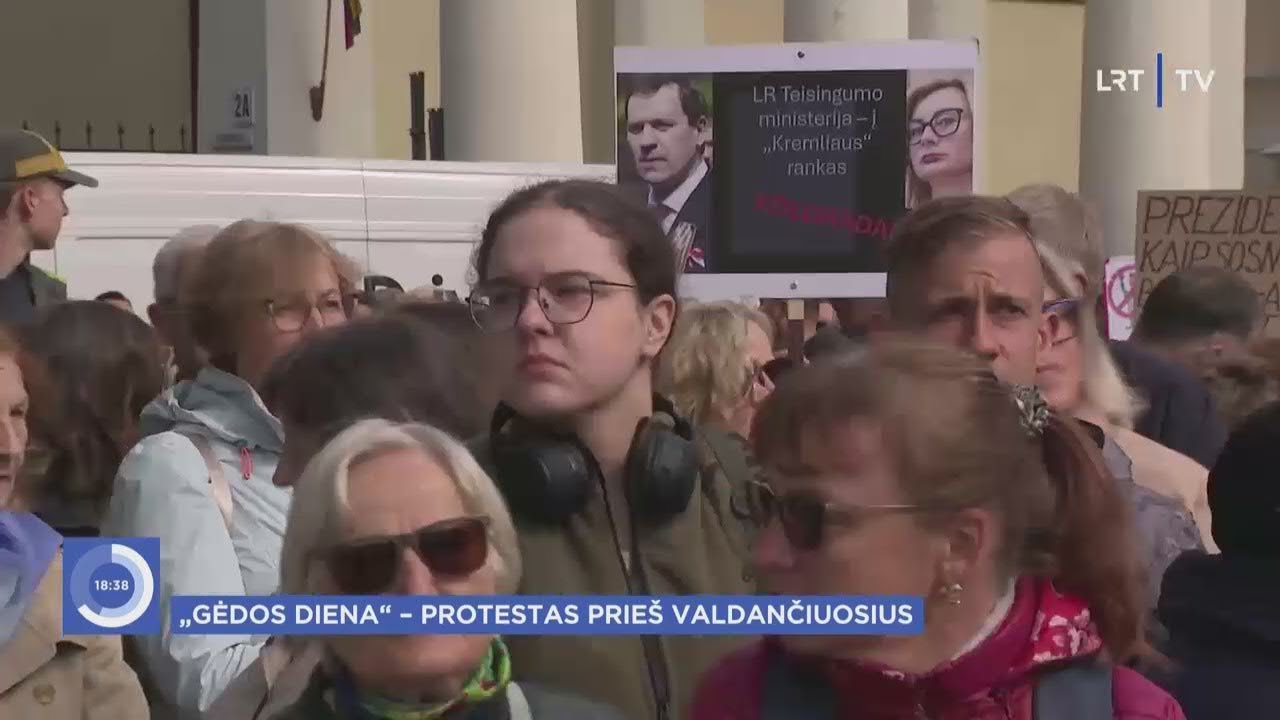 Politologė apie naująją koaliciją: jos darbai gali strigti