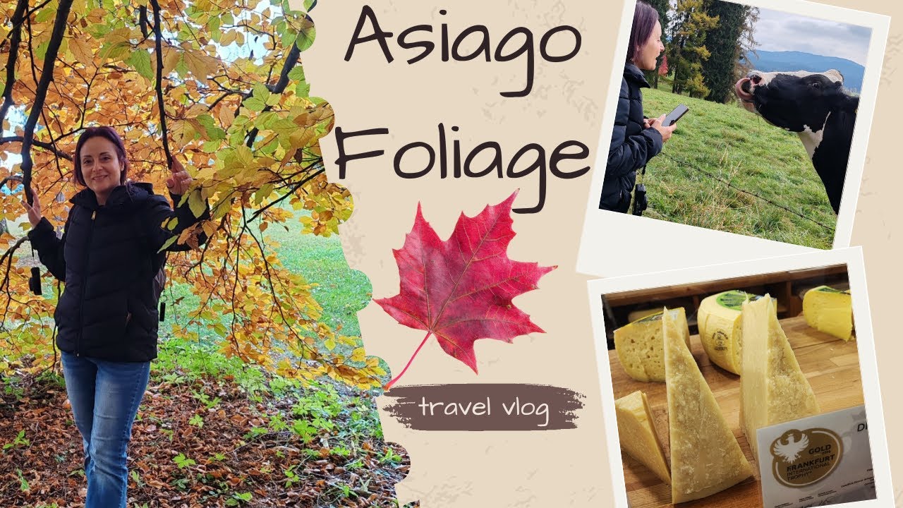 Asiago Foliage: una bellissima gita nella natura e cibo tipico!!