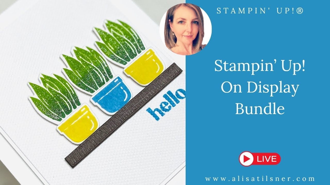Набор Stampin' Up! для демонстрации | Простое и понятное изготовление открыток CAS