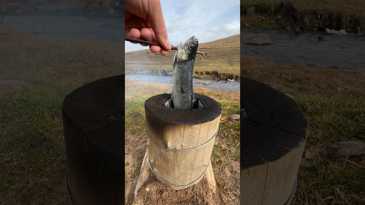 Fish in a stump🤤