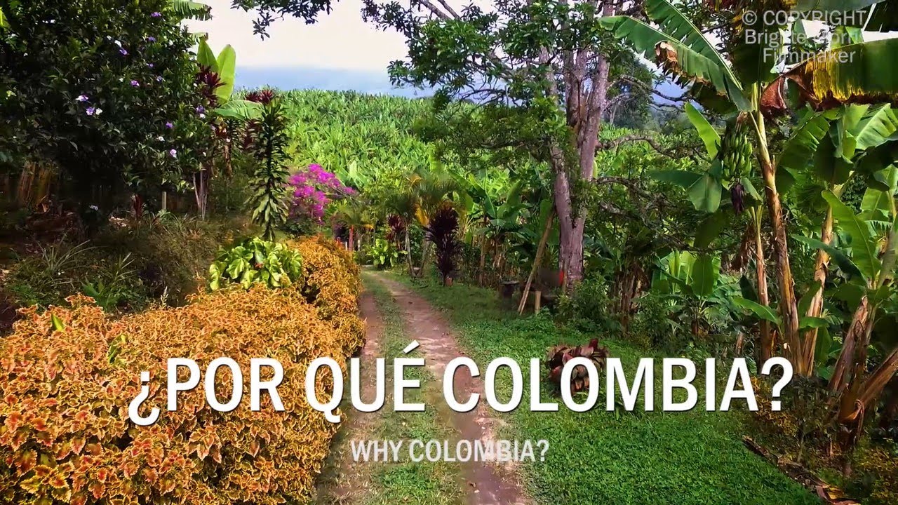 ¿Por qué Colombia?