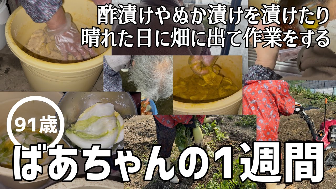 【総集編】91歳のばあちゃんの1週間 聖護院大根の酢漬けとぬか漬けを漬けたり春じゃがいもを植えるところを耕しておいたりしました【日常】【田舎暮らし】【vlog】