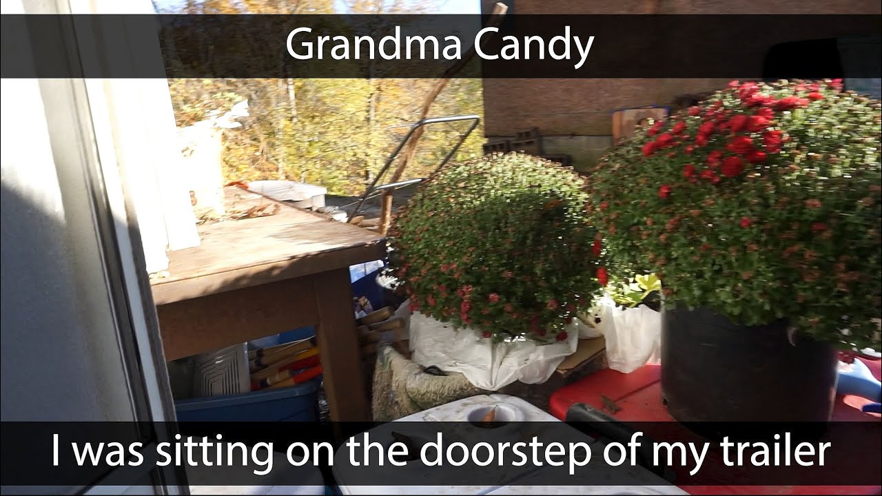 Summer Wells : View from Grandma Candy Trailer : FindSummerWells.com