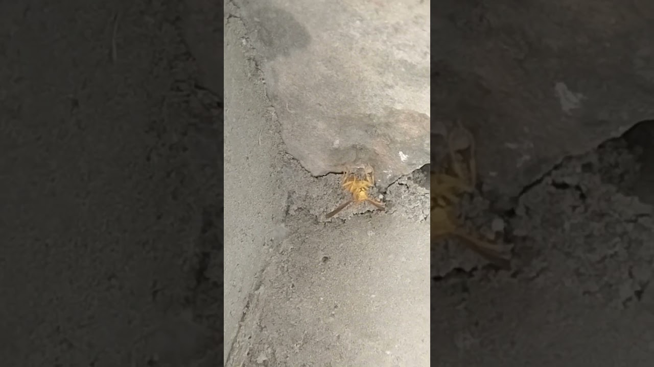 **“3 सेकंड रुक जाओ… आपकी ज़िंदगी बदल सकती है…” 😲