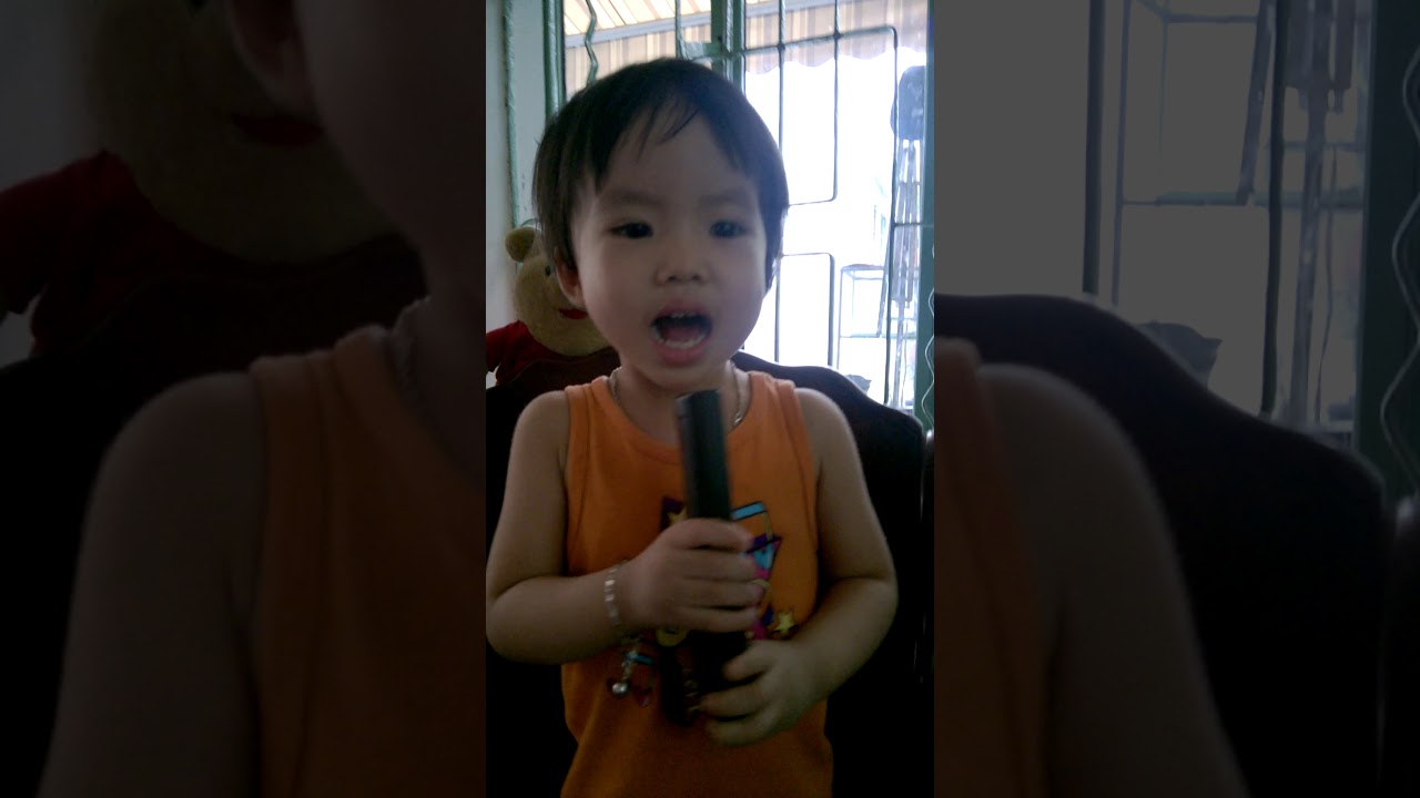 lavie tap l&agrave;m  ca sĩ