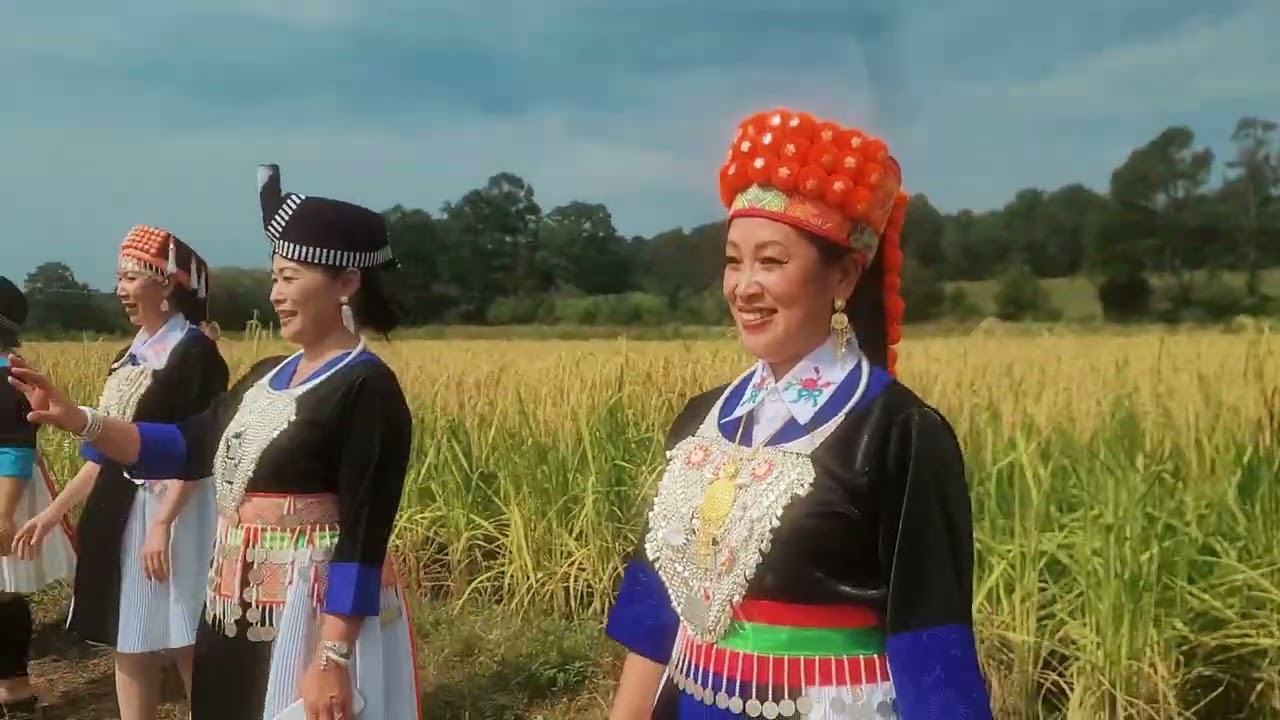 Hmong NC pov pob tom nplej liag 2025