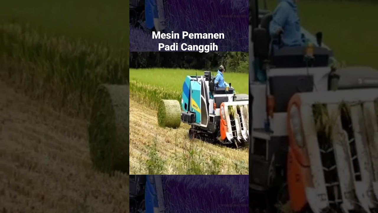 Mesin Pemanen Padi Super Canggih, cukup 1 orang