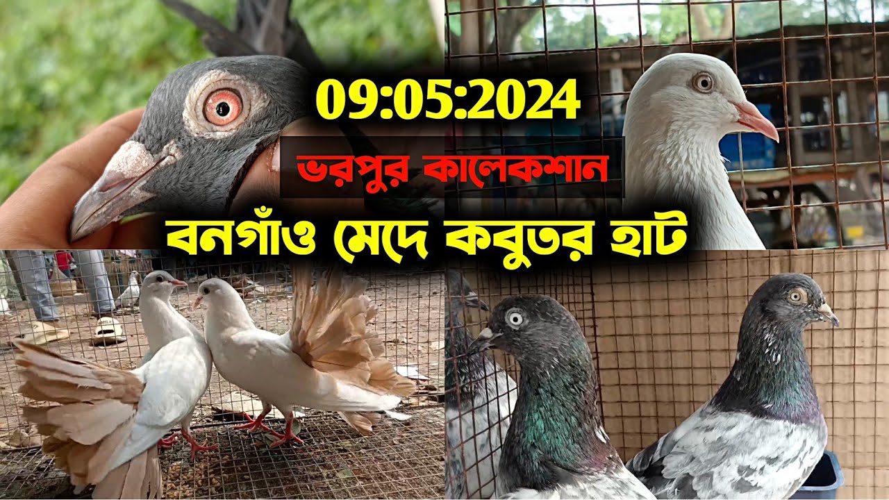 আজ 
