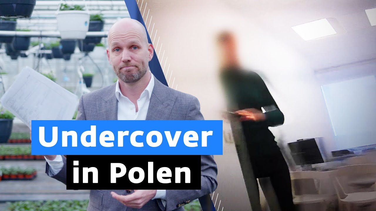 Kerngezond de ziektewet in? Zo makkelijk is het