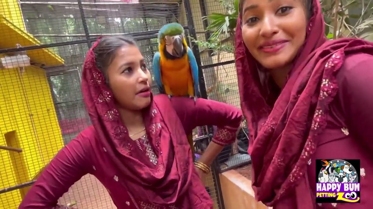Chennai il oru naal part -3 | happy bum petting zoo | jollyoo jolly