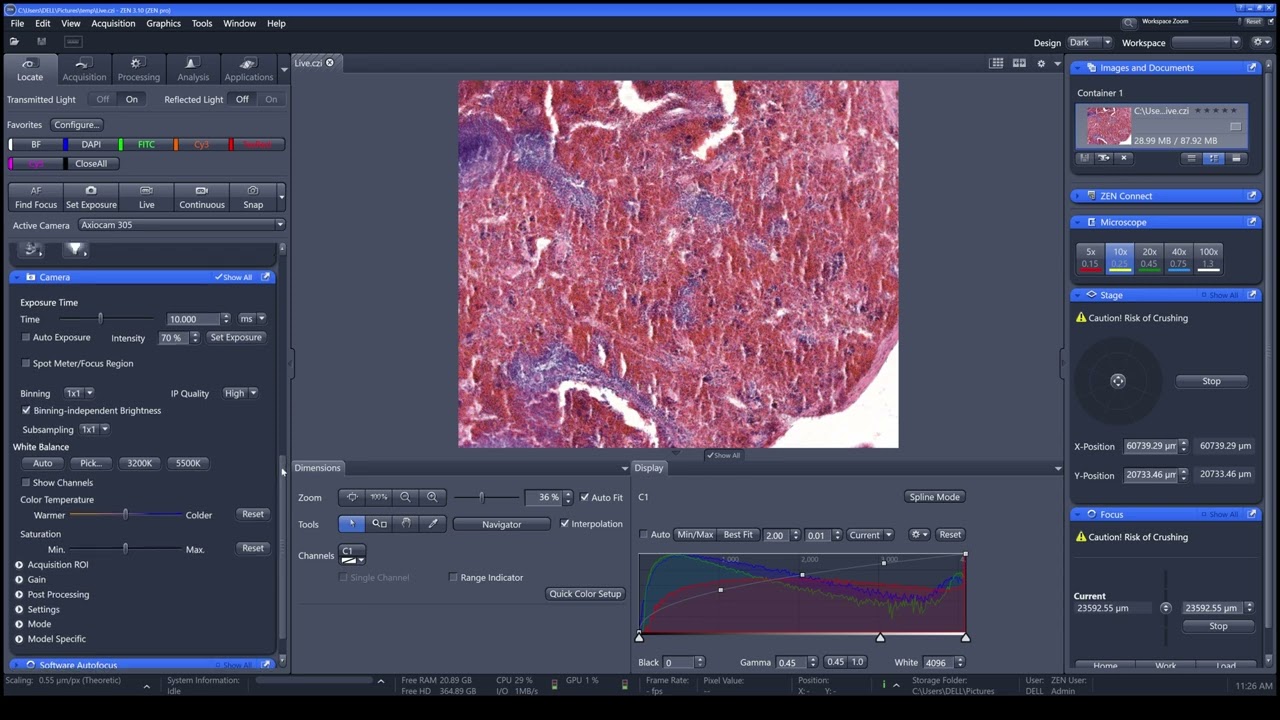 [EN] How to take image using Zen software part 1 #zeiss #microscope