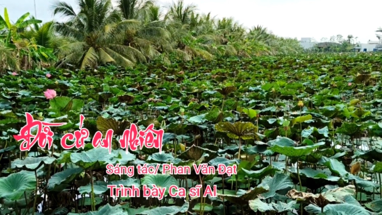 Đời cứ an nhi&ecirc;n // S&aacute;ng t&aacute;c // Phan Văn Đạt // Tr&igrave;nh b&agrave;y Ca sĩ AI