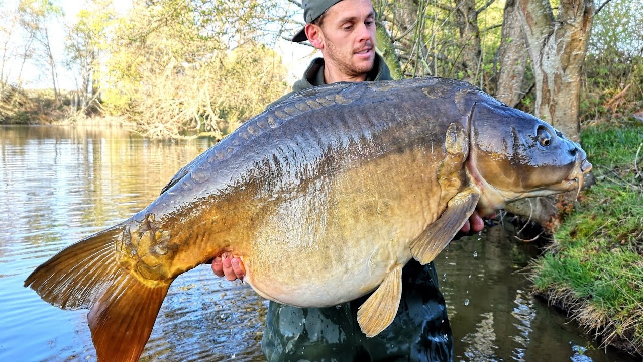 Karpervissen - Final Destination Carp the return (Frankrijk 2019)