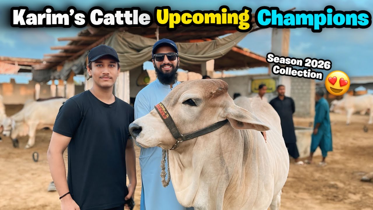 Karim’s Cattle Farm Latest Cattle Collection 2026💥 | Hidden Gems 😍