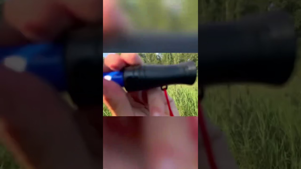 Duck whistle / call