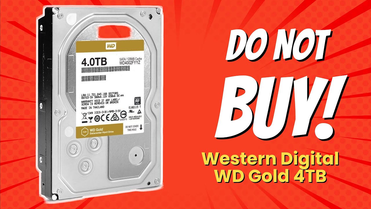 DON'T BUY WD Gold 4TB BEFORE WATCHING THIS VIDEO! 🚫💾 (8 Reasons)