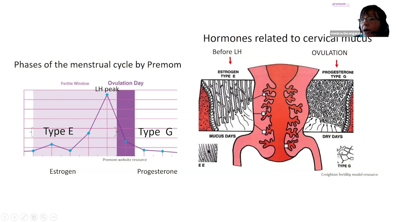 How to Track Cervical Mucus with Monica Rincon, Marquette Method Natural Family Planning Instructor