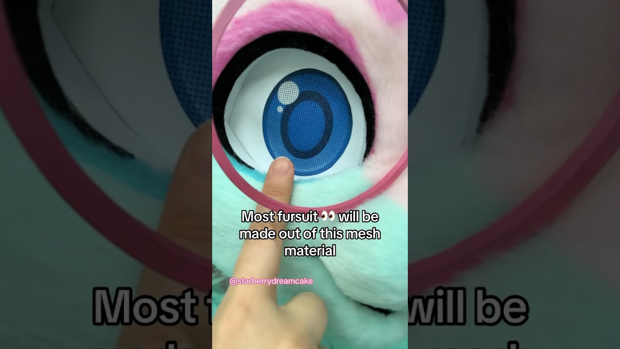 ✨FAQ✨ How do fursuiters see?