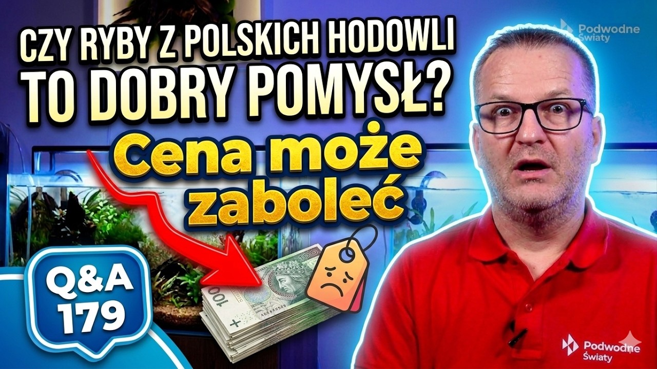Czy ryby z Polskich hodowli to dobry pomysł? Cena może zaboleć. Q&A179B