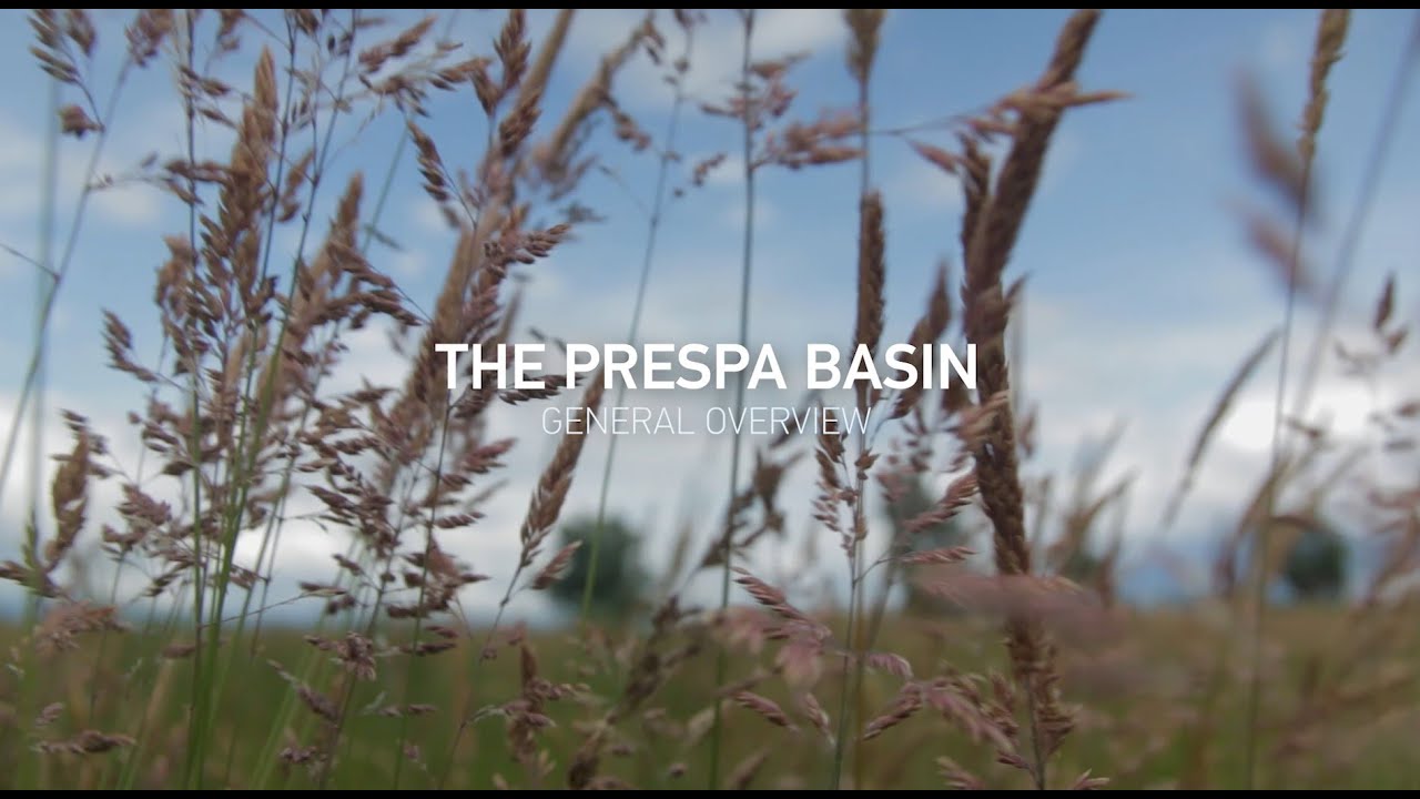 General overview of the Prespa basin