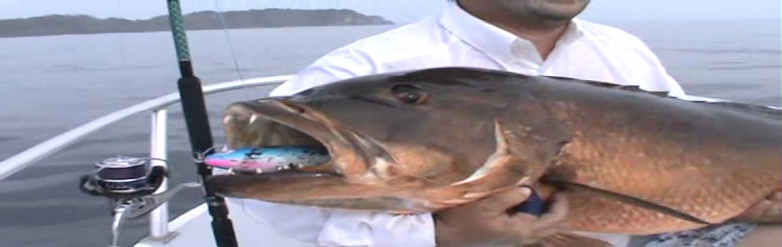 Carpes rouges thons et serioles du Panama