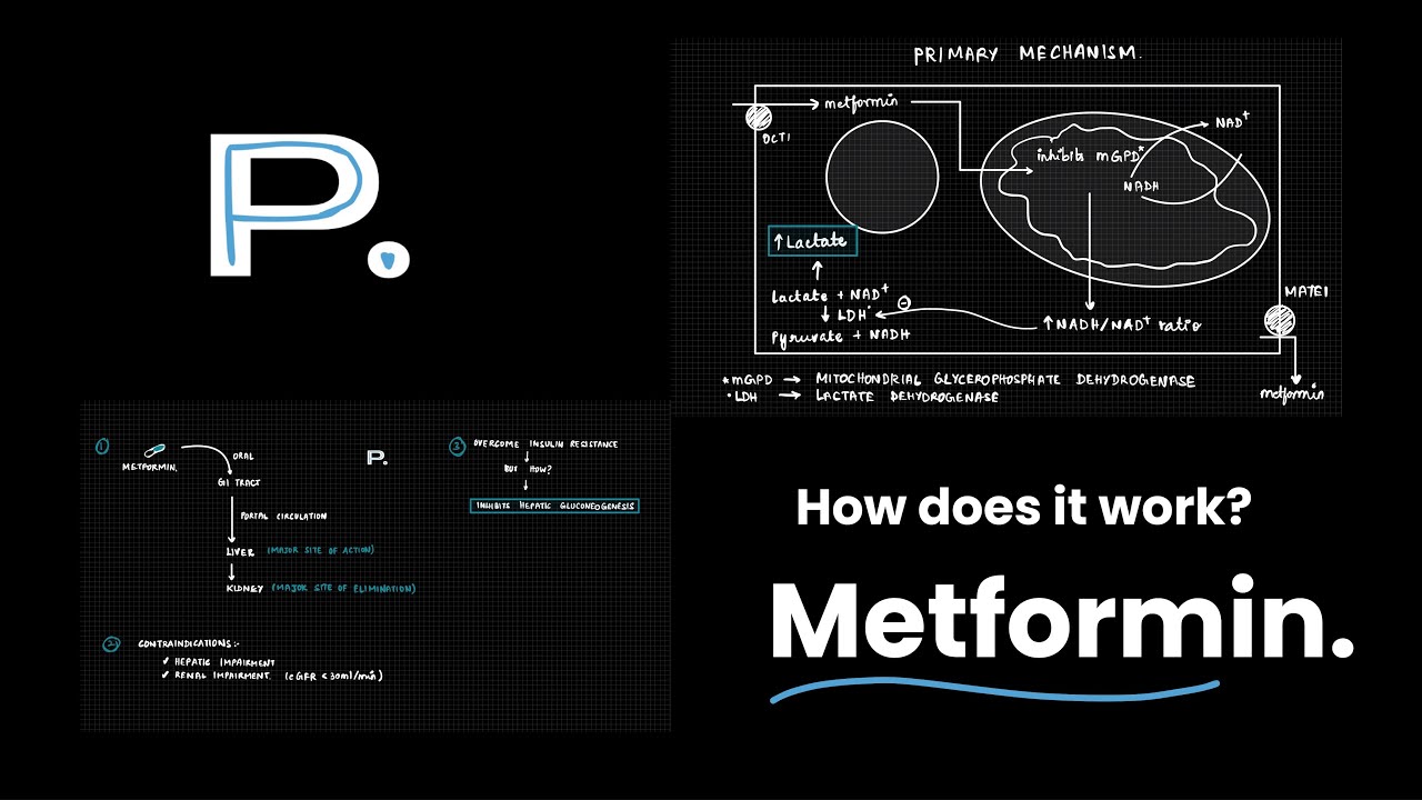 Metformin - A wonder drug! | Mechanism of Action Explained 