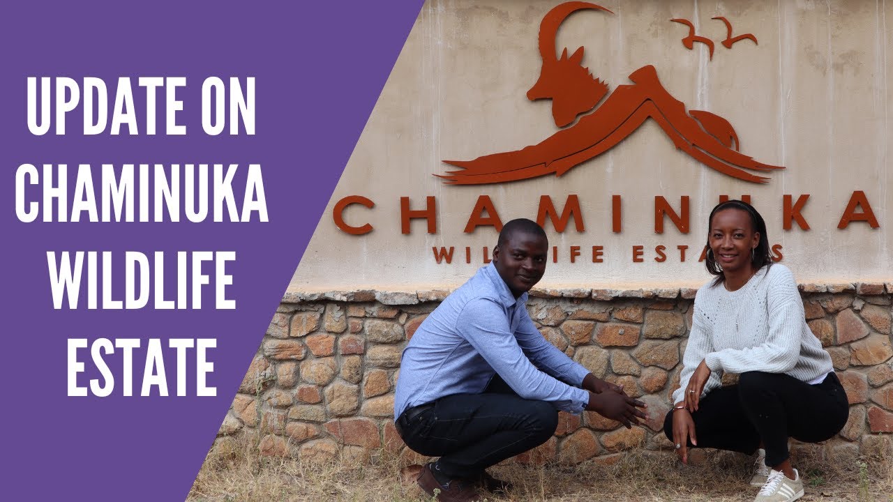 Update on Chaminuka Wildlife Estate