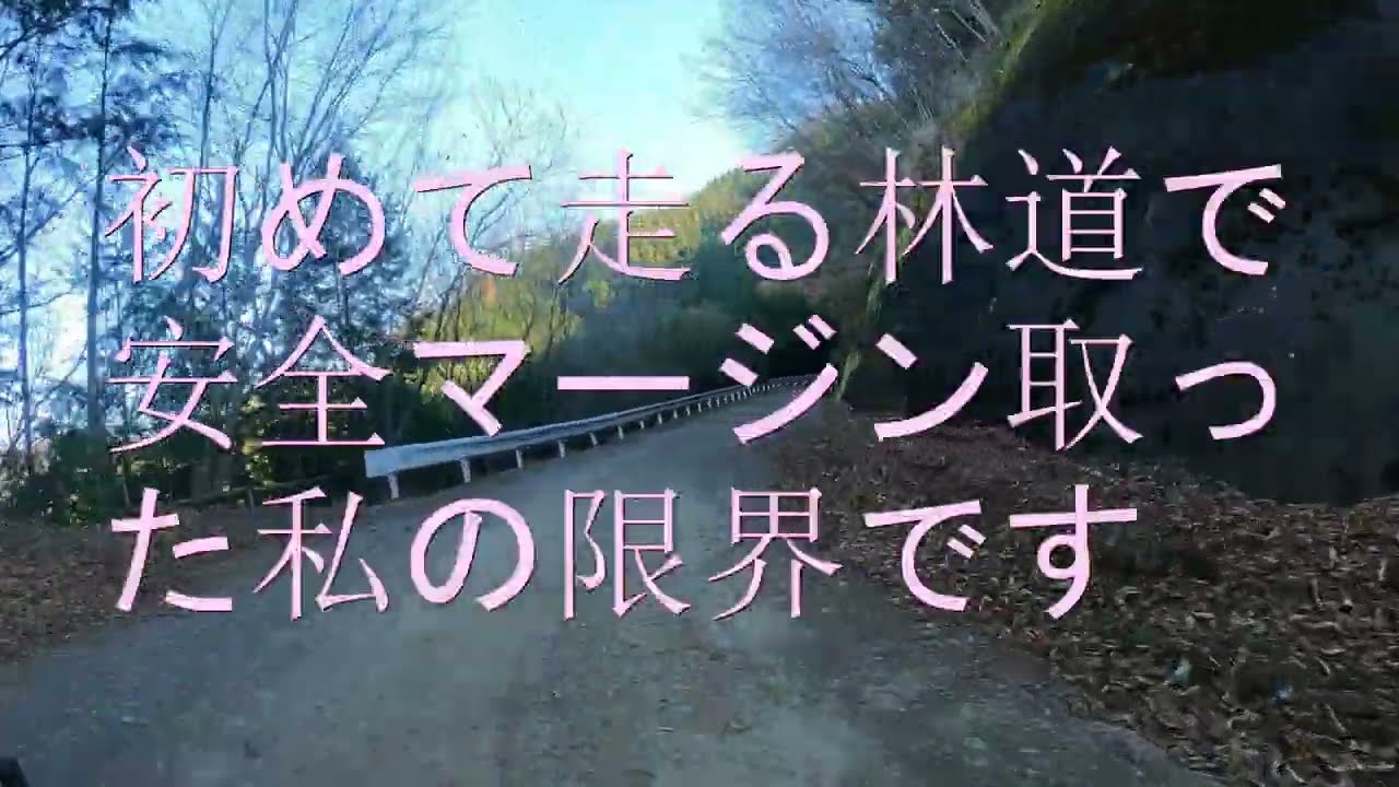 セロー250で　ジキルさん・バターさんの　バカッ速い変態さんに連れられて　林道走行です　お時間ございましたら　ご覧下さい　私は遅いので　限界でした