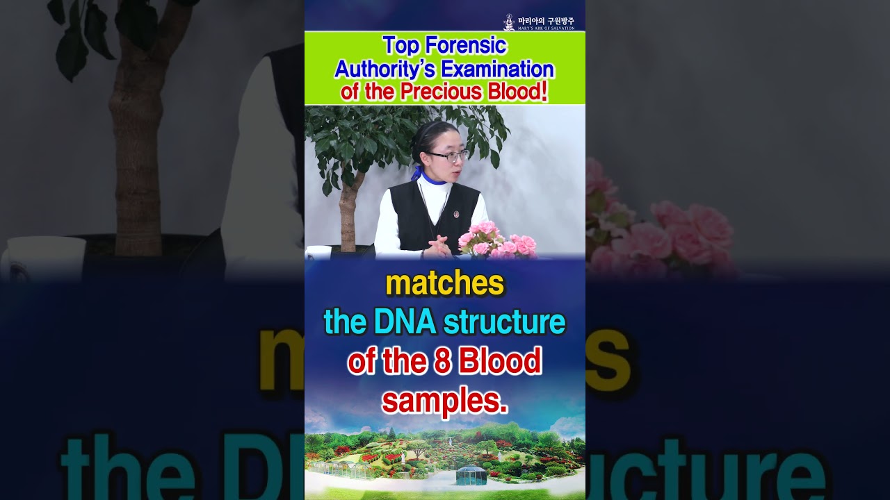 [PART 19] Top Forensic Authority's Examination of the Precious Blood!