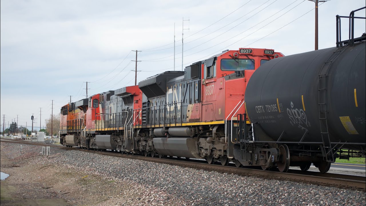 BNSF Stockton Sub Trains with CN, CSX, CP, & Stickers