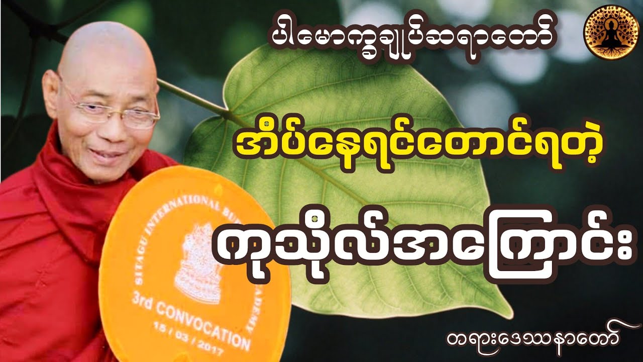အိပ်နေရင်တောင်ရတဲ့ ကုသိုလ်အကြောင်း တရားဒေဿနာတော် { ပါချုပ်ဆရာတော်ဘုရားကြီး ဟောကြားတော်မူသည် }