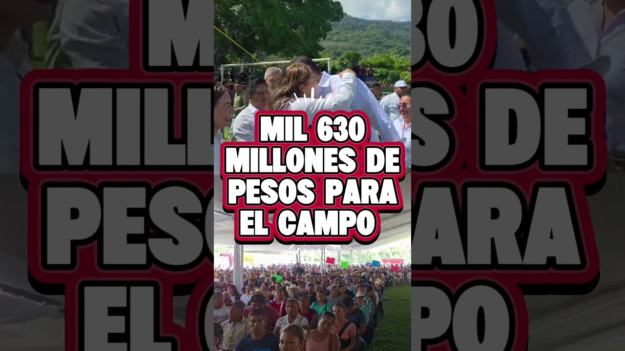 Desde Pantepec construimos Paz con Bienestar en beneficio de todas y todos.