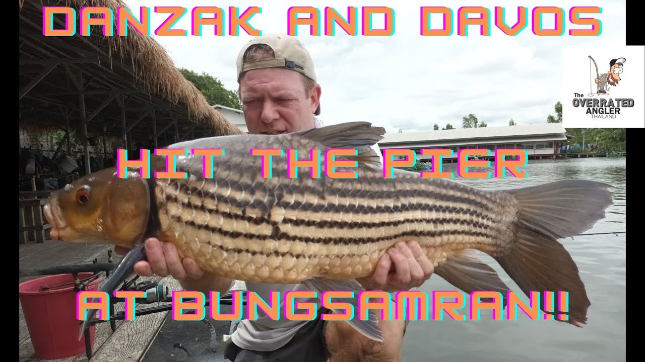 The Overrated Angler Thailand - Davos & Danzak fish the pier at Bungsamran for Juliens Carp Thailand