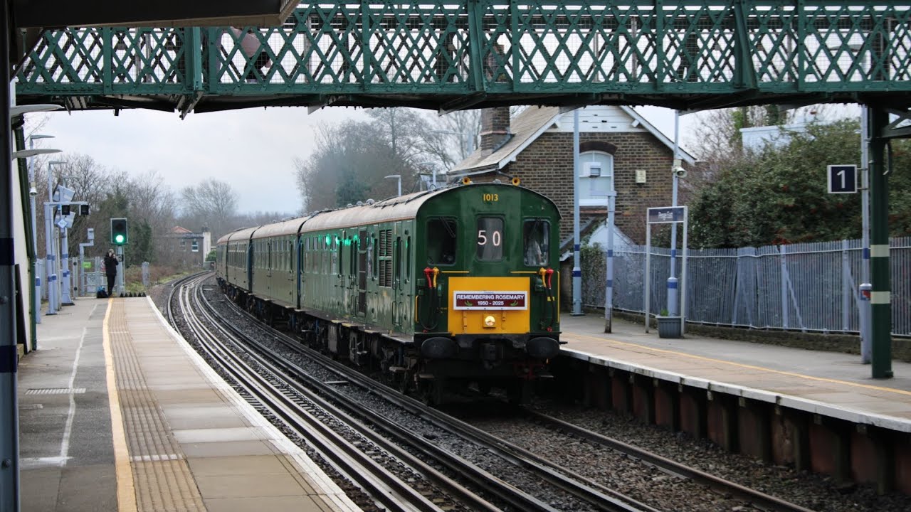 Hastings DMU Class 201 rumbles through Penge East on 'Remembering Rosemary'