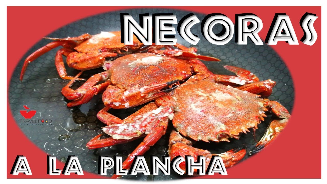 🦀 como hacer NECORAS a la PLANCHA | marisco plancha, el mejor sabor