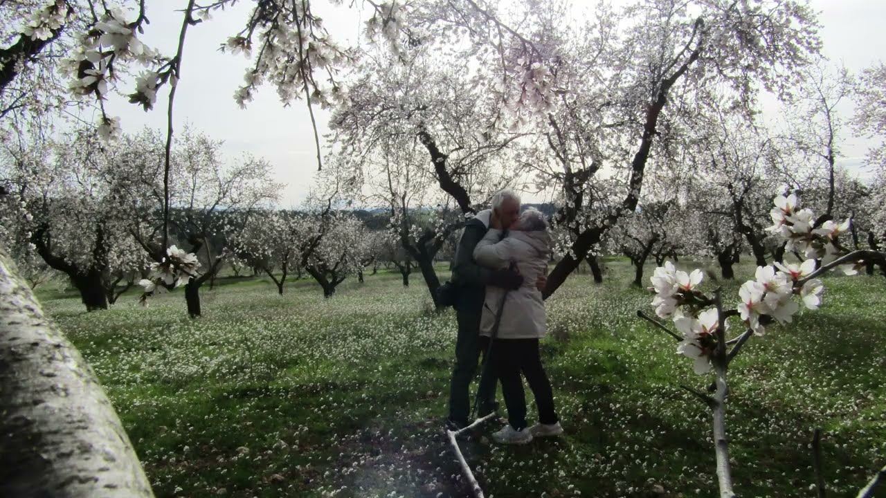 ALMENDROS2026