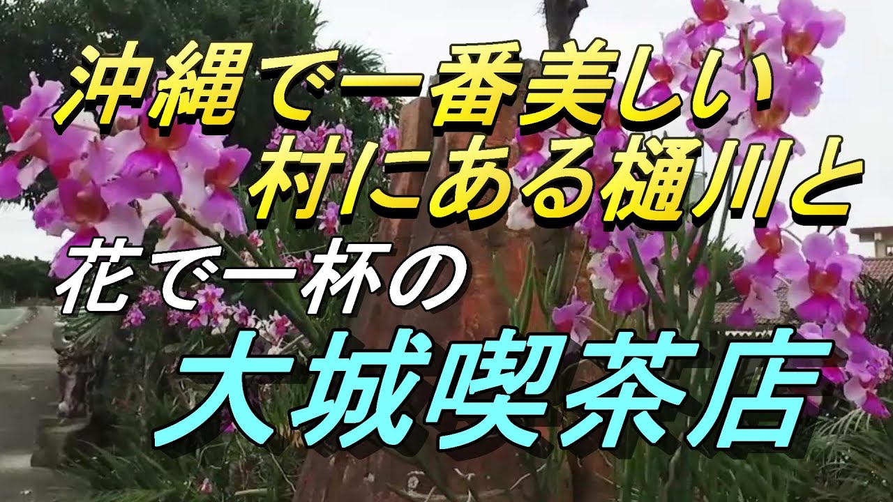【沖縄の湧水】北中城村・大城・花と湧き水（樋川）の里・花に囲まれた「大城喫茶店」とは、大城にある３つの樋川を巡る動画・沖縄の井泉・沖縄観光・沖縄旅行