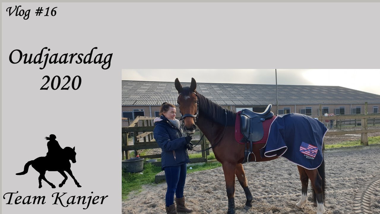 kanjer oudejaarsdag paarden zijn fris en gaan aan de kletter   #16