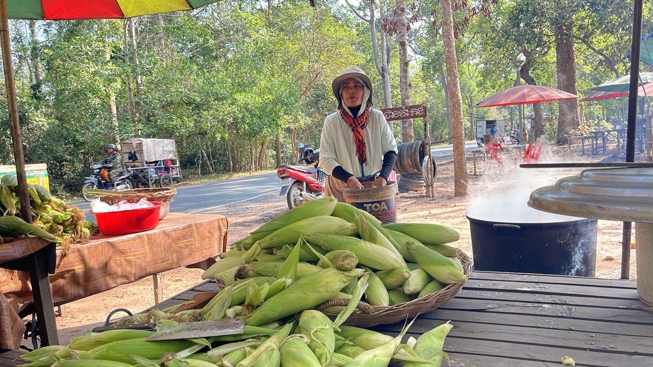 Cambodia Best Street Food Compilation - Countryside Vs City Food Vlog @ Siem Reap