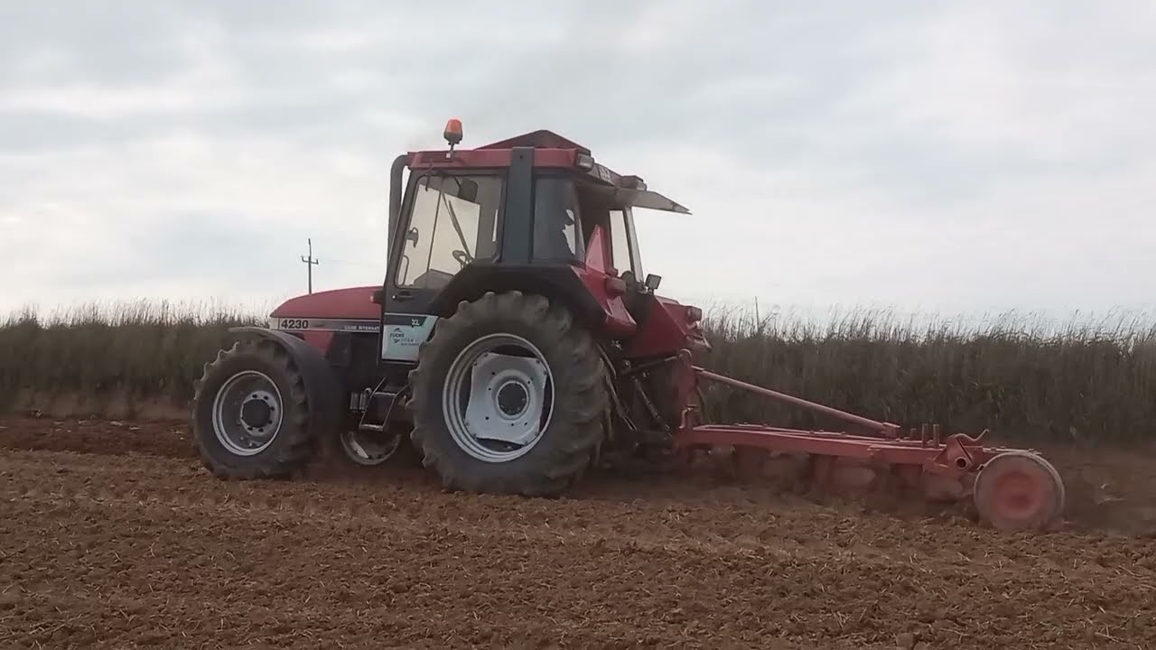 Robota pod sianie 2022📷🚜😁Case 4230 pług 4 Grudziądz