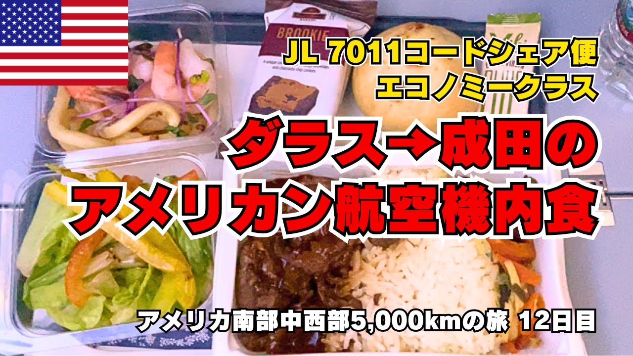【12日目】ダラスから帰国＆アメリカン航空の機内食を完全レポ